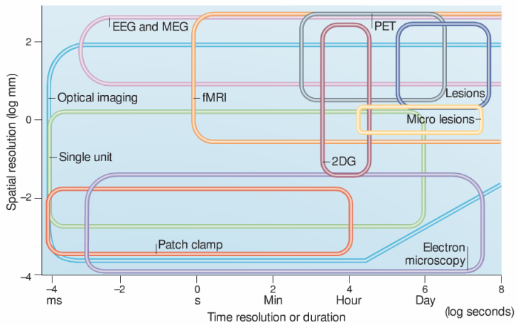 One of the most complete spatial-temporal resolution plots for neuroscience methods. Notice how the spatial resolution of fMRI stretches down to the millimeter, whereas the temporal resolution of EEG reaches the millisecond. The spatial and temporal sampling (or coverage) of each method is depicted by the height and the width of each box, respectively. From Grinvald and Hildesheim, 2004. Reproduced with permission from Nature Publishing Group.